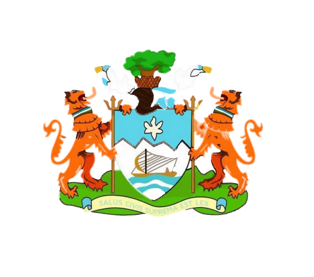 Freetown City Council